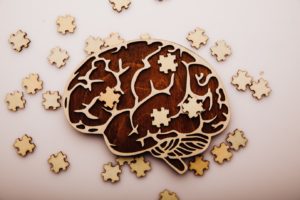A wooden brain jigsaw puzzle