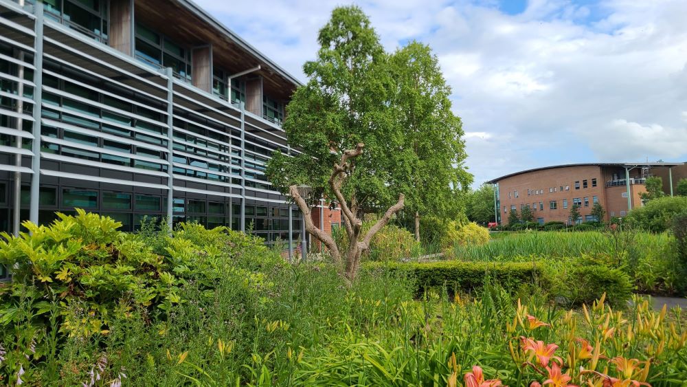 Image of Faculty of Education building.