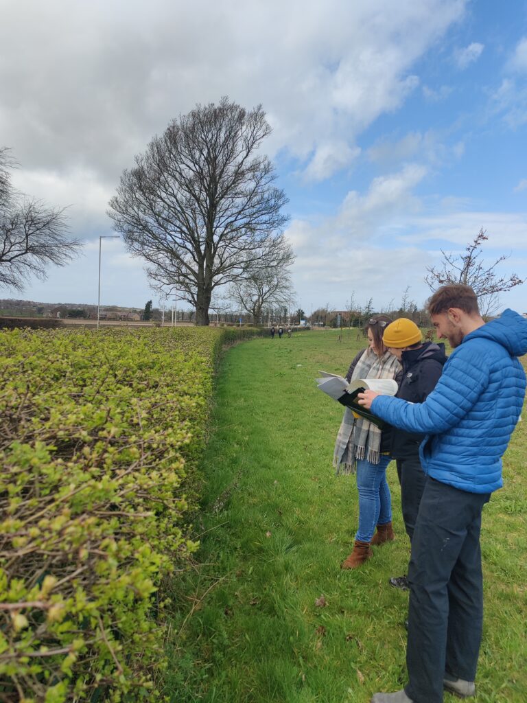 MSc Conservation Management student undertaken a hedgerow site condition assessment on EHU south campus (Credit: Sven Batke).