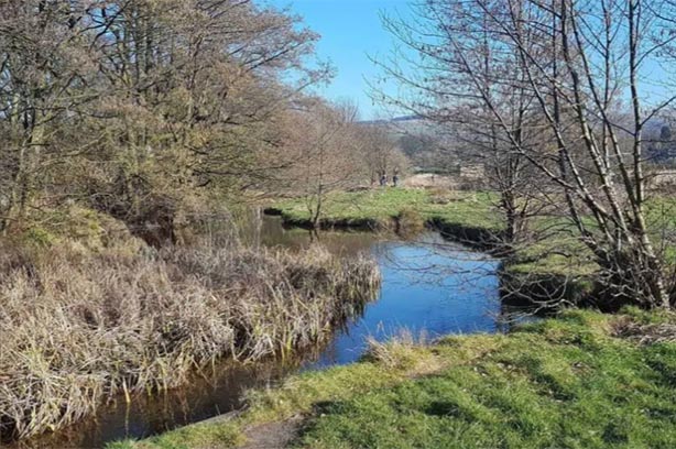 Meandering section of the River Douglas - pic from the Ribble Rivers Trust