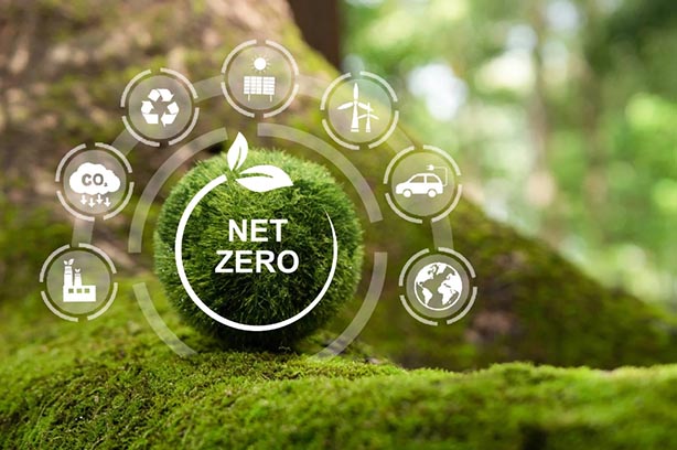 Net Zero image, moss on a branch and white icons surrounding, photo from Chamber Low Carbon