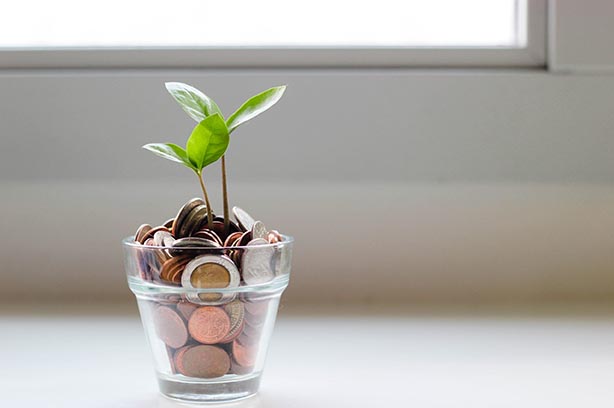 Coins in a glass with plant shoots growing up through the coins