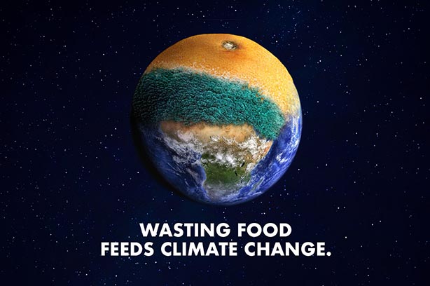 Food waste planet Earth image, pic from Climate Challenge UK