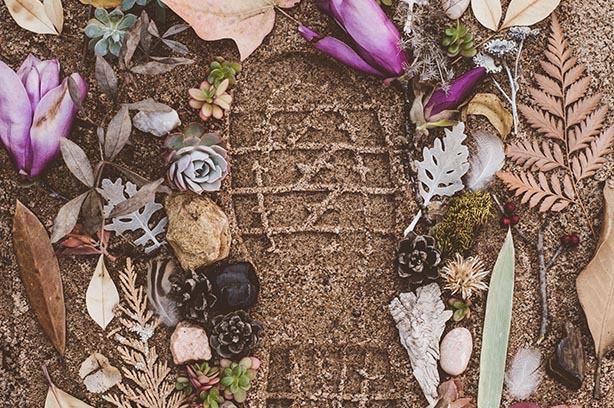 Footprint impression in the sand surrounded by plants and flowers for decoration - pic by Evie S on Unsplash