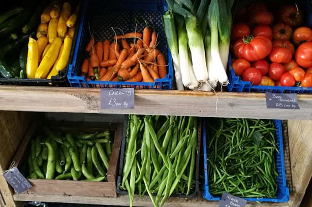 Mixed vegetable stand at Greenslate Farm pic by Bryan Irving