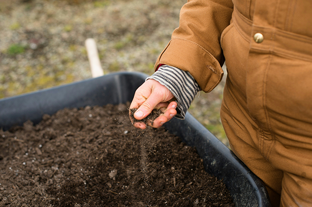 Photo by Zoe Schaeffer on Unsplash, soil in wheelbarrow and gardener in brown overalls holding some in their hand.