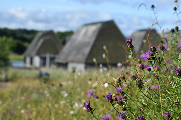 Photo by Andrew Hall on Unsplash, Brockholes Nature Reserve buildings on a spring day