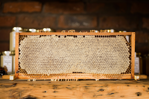 Photo by Jonathan Farber on Unsplash, full Honeycomb placed on a wooden bench