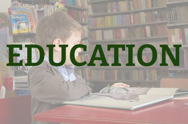 Photo by Anita Jankovic on Unsplash, boy reading sitting in a library, word 'education' in the foreground