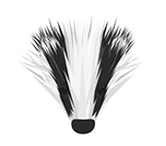 Lancashire Badger Group logo, badgers head