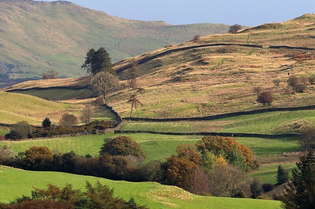 Green hills, hedges and trees in the countryside of Lancashire