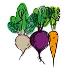 Food Futures logo, Illustrated carrot, beetroot and turnip on a white background