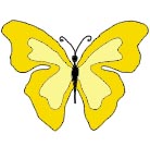 Yellow butterfly illustration