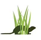 Lune Rivers Trust logo, green leaves with an otter walking amongst