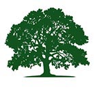 Green Oak tree illustation