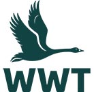 Martin Mere Wetland Centre logo, swam flying over the letters 'wwt'