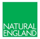 Natural England logo, whjite text on a green square