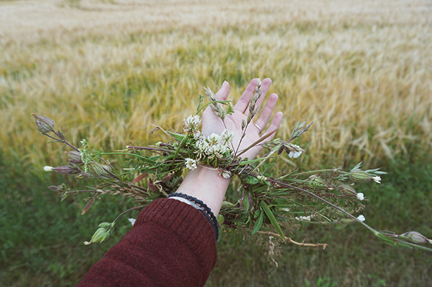 Photo by Victoria Strukovskaya on Unsplash, hand with a wreath of wild flowers on the background of a wheat field.