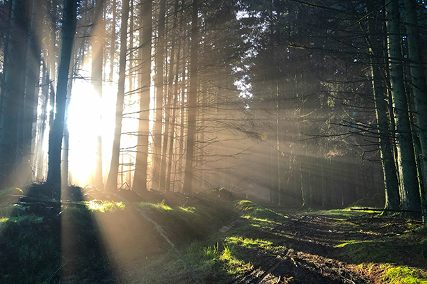 Photo by Marty Finney on Unsplash, sun setting agaisnt the backdrop of Gisburn Forrest in the Forrest of Bowland