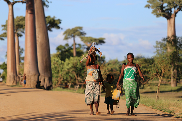 Photo by 2Photo Pots on Unsplash, 2 women and a child carrying wood walking past Baobab trees