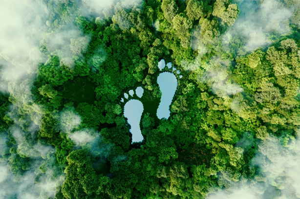 The Stobart Sustainability Fund image, feet forming a pond surrounded by forest