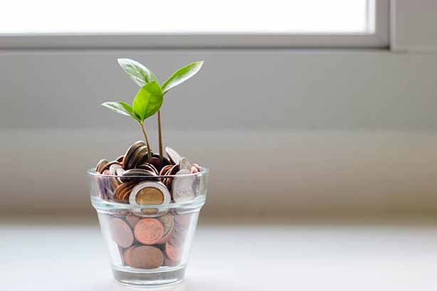 Micheile Henderson 2 on Unsplash, Coins in a glass with plant shoots growing up through the coins