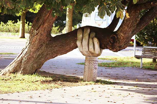 Photo by Neil Thomas on Unsplash. Community xcarved wooden hand supporting a tree