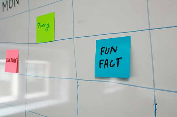 Photo by Walls.io on Unsplash, sticky note on a white board with the words "Fun Fact"