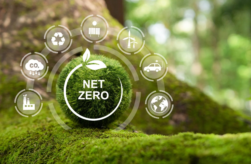 Net Zero image, moss on a branch and white icons surrounding, photo from Chamber Low Carbon