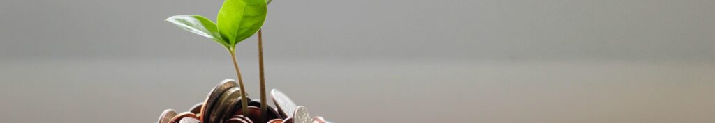 Coins and plant - Micheile Henderson 2 on Unsplash - Narrow