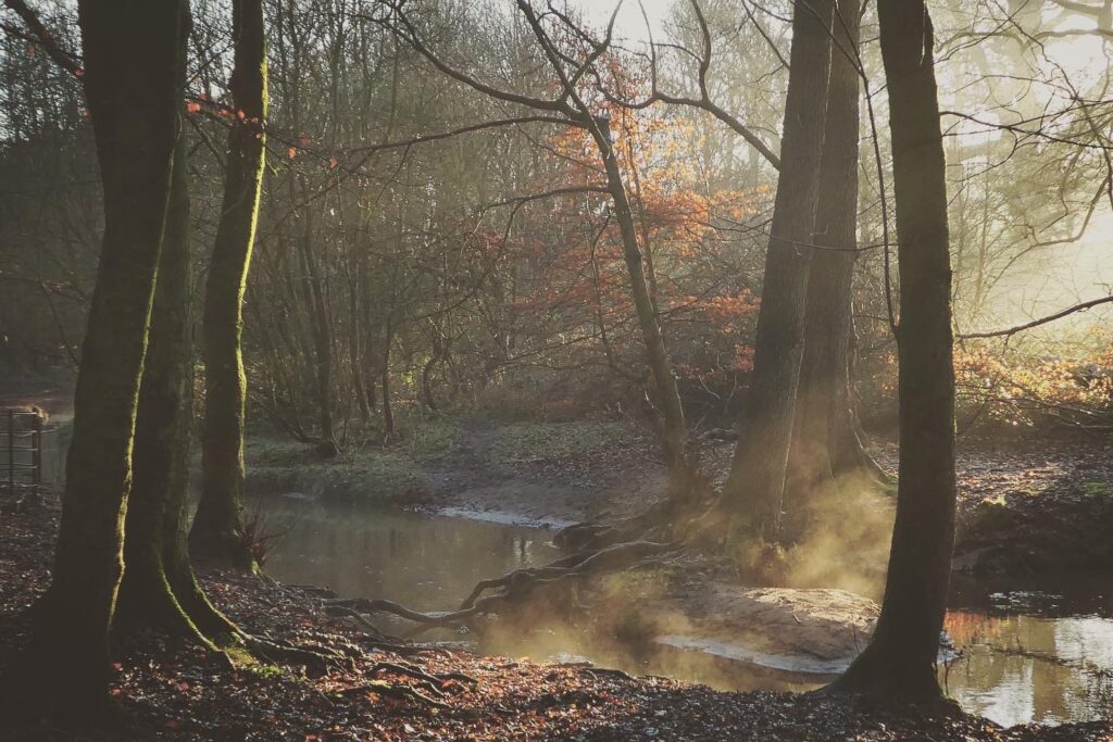 Friends of Worden Park 3, pic by Ian Fairey FoWP
