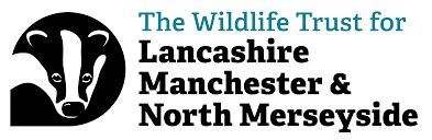 Lancashire Wildlife Trust, badger head to the left opf the lettering - logo