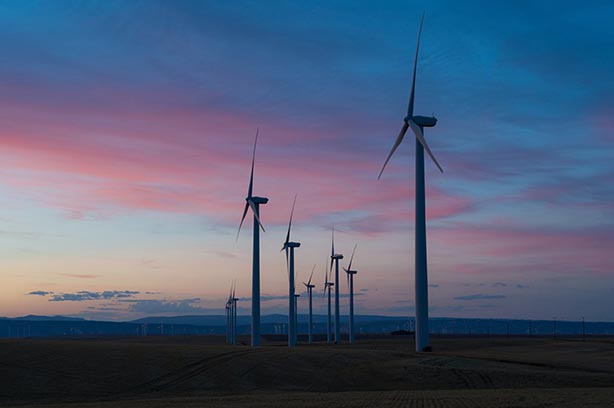 Twelve wind turbines stretching out over the coutryside  - pic by Dan-Meyers on Unsplash