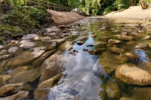 River Ribble close up rocks, plants and the sky reflected in the water from Ribble Rivers Trust