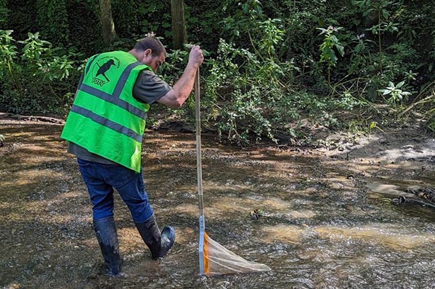 Friends of Tawd Valley - Tawd Tidings Blog, Aug 2023 - landscape