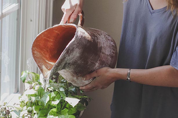 Person holding a water jug, watering a plant in a window - pic by Cassidy-Phillips on Unsplash