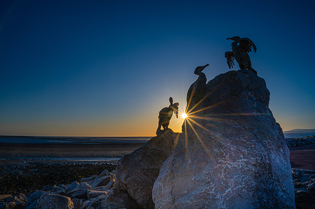 Photo by Jonny Gios on Unsplash, cormorants on rocks in Morecambe Bay