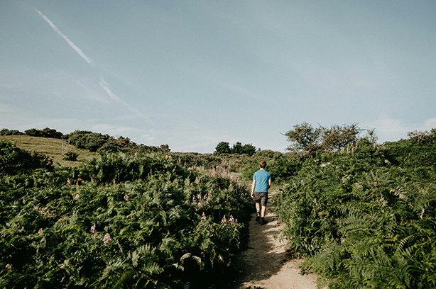 Photo by Annie Spratt on Unsplash, man walking through bracken