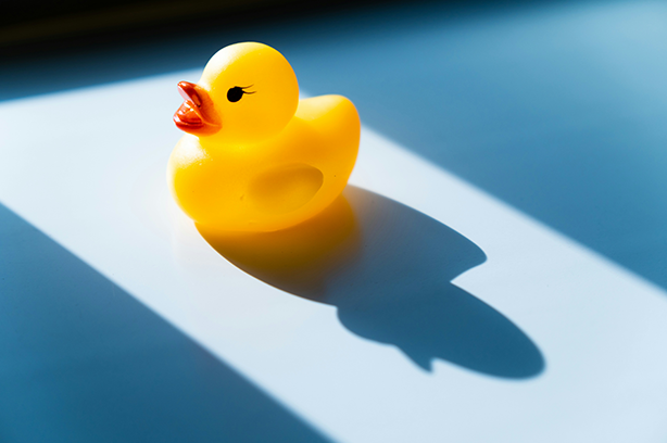 Photo by S. Tsuchiya on Unsplash, yellow rubber duck