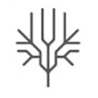 Basic line drawing of a tree