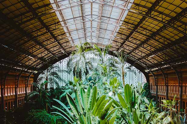 Photo by Andrea Ferrario on Unsplash, a very green tropical planted station platform in Madrid, Spain