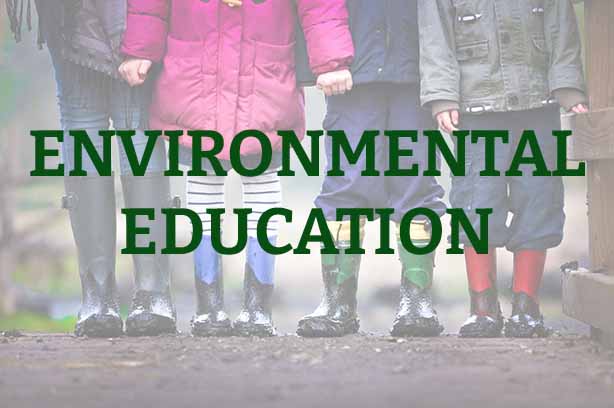 Photo by Ben Wicks on Unsplash, four sets of kids legs all wearing muddy wellies