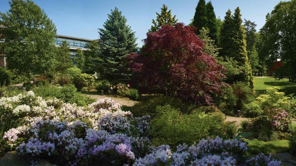 An image of Edge Hill's rock garden,