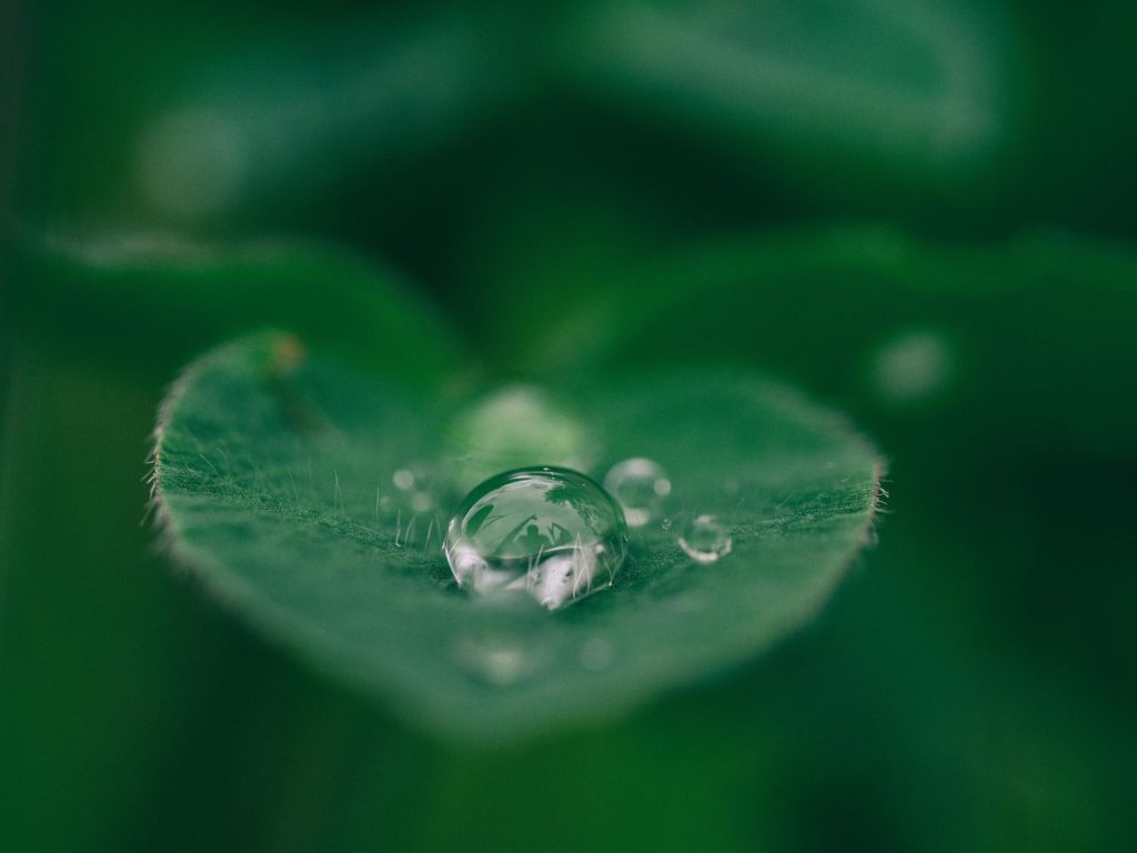 Close up a a rain drop on a green leaf