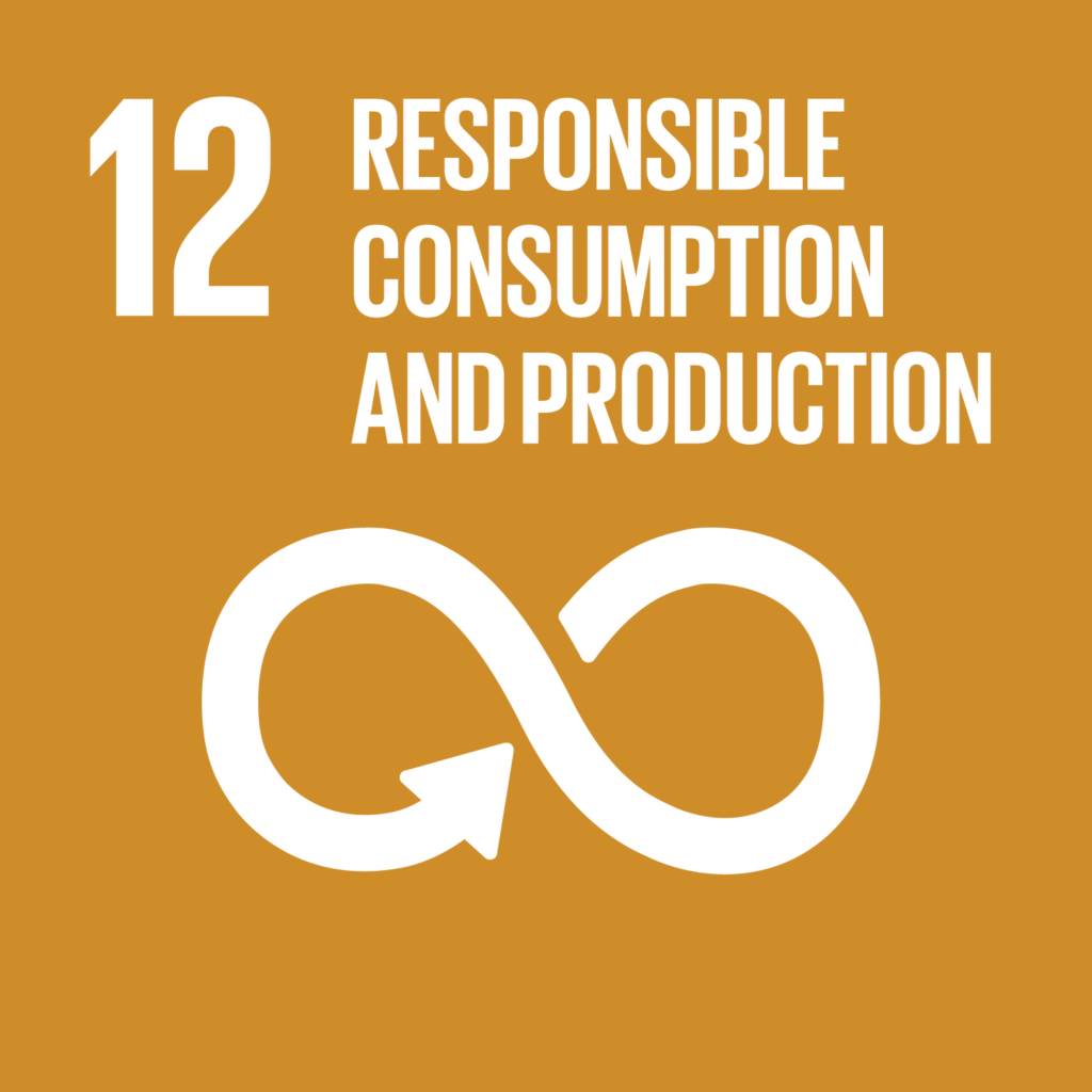 SDG12 - Consumption Production ochre and white infographic with an figure of 8 infinity sign