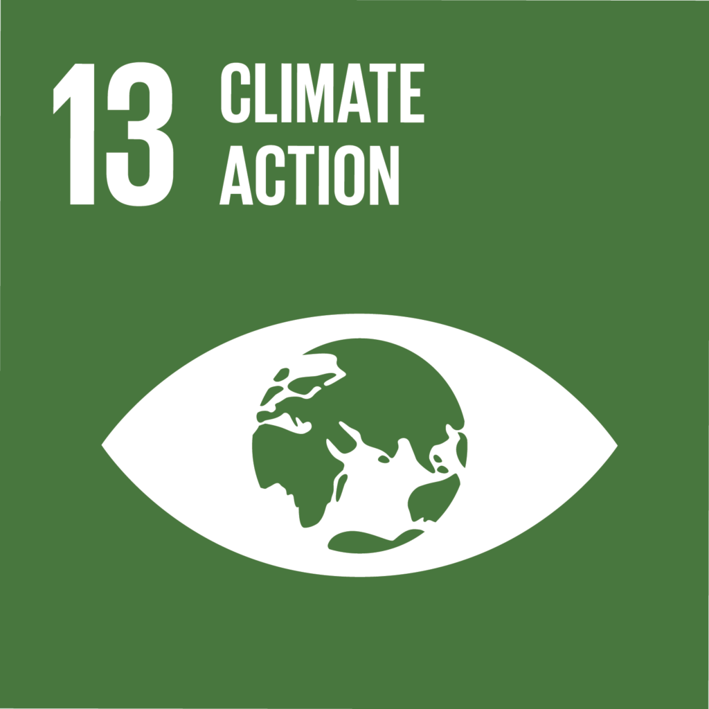 SDG13 - Climate green and white infographic with the earth for the pupil of an eye