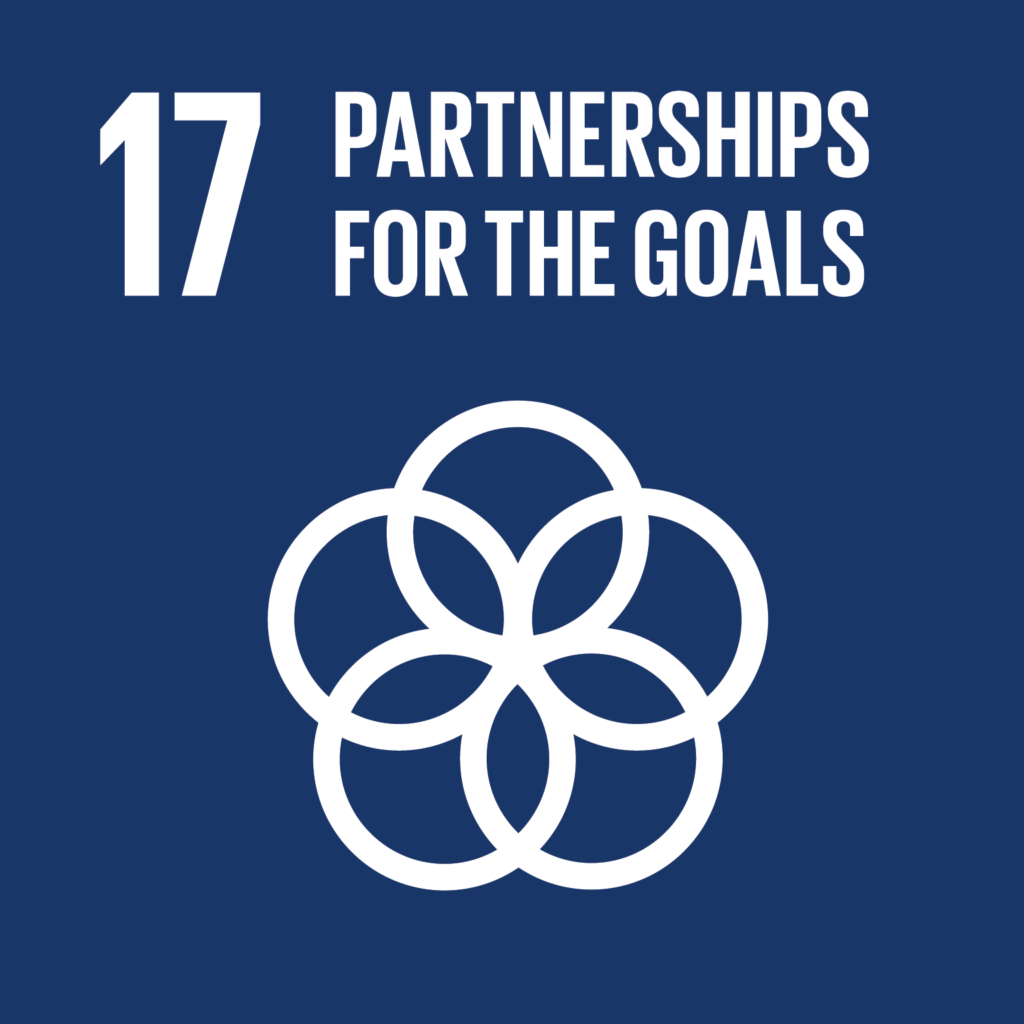 SDG17 - Partnership navy blue and white infographic with 5 interlinked circles