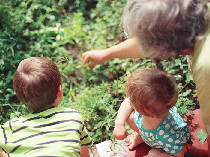 Grey haired woman showing 2 children a garden and its plants