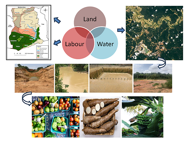 Collage image showing mining (especially small-scale) and agriculture heavily rely on water and human resources