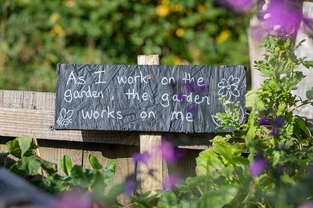 mike-erskine_garden sign surrounded by flowers and other plants